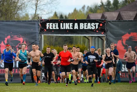 Bison Race