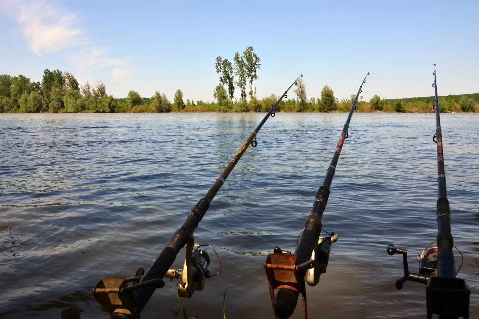 Рыболовные соревнования в Беларуси