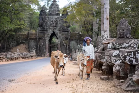cambodia