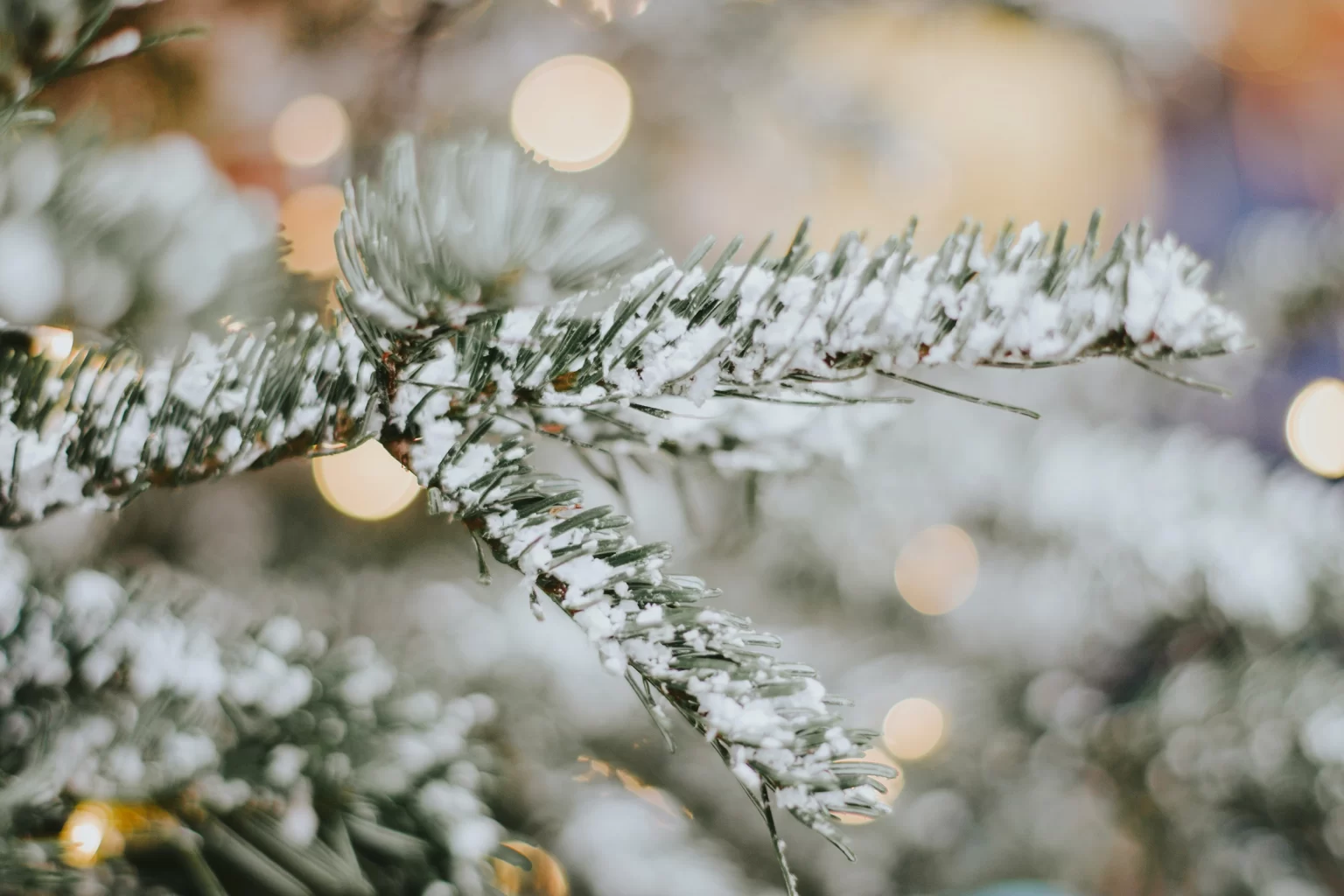 Новый год 2023 в Лидбир Двор