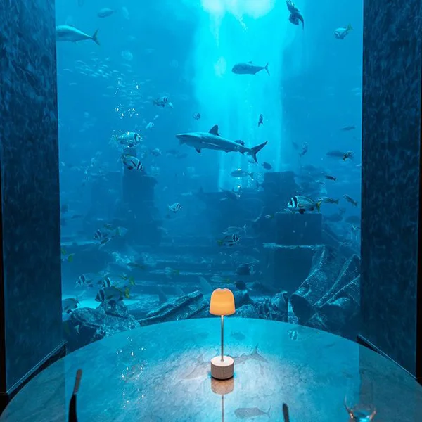 Вкусно есть в Дубае: рестораны со звездой Мишлен в главном туристическом городе ОАЭ