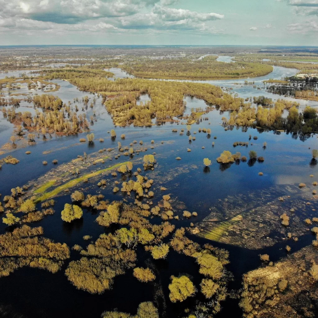 Разливы на Полесье