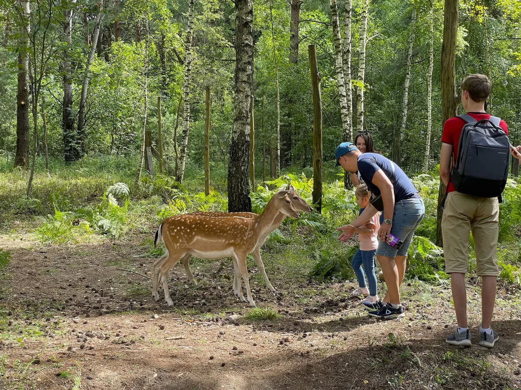 Выходные в Беларуси: чем заняться 28–29 марта