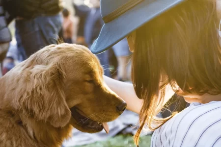 Фестиваль "Pets Fest 2023": программа и стоимость