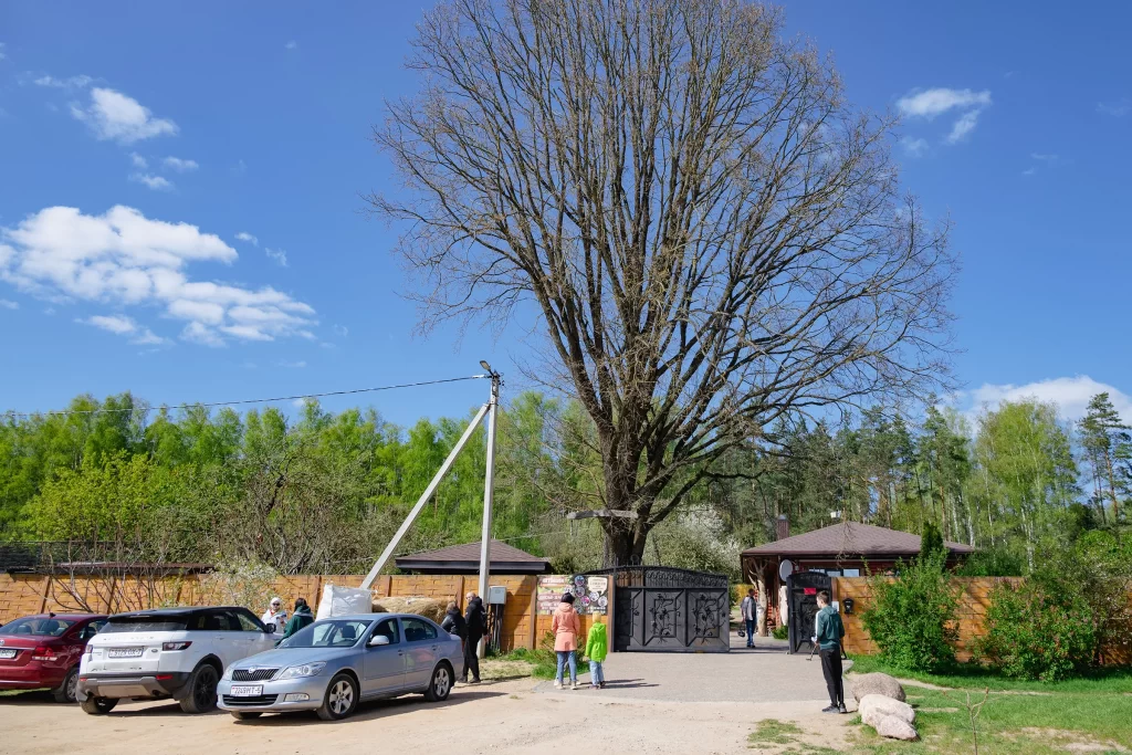 Зоопарк "Натюрлих" в деревне Деколы, Беларусь