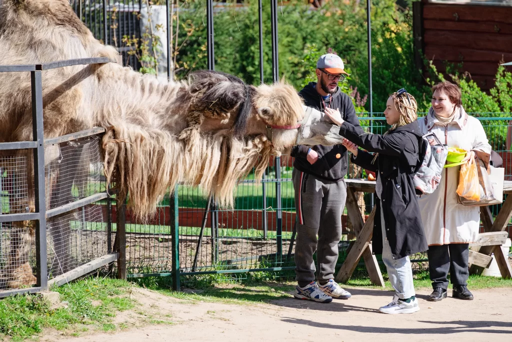 Зоопарк "Натюрлих" в деревне Деколы, Беларусь