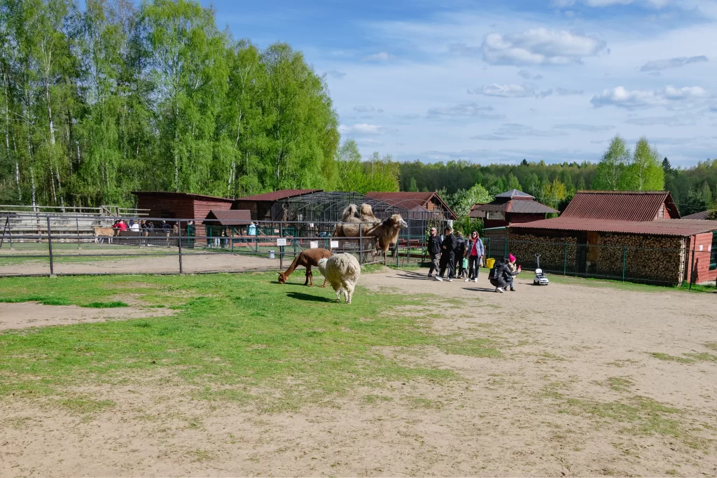Зоопарк "Натюрлих" в деревне Деколы, Беларусь