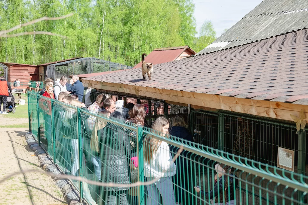 Зоопарк "Натюрлих" в деревне Деколы, Беларусь