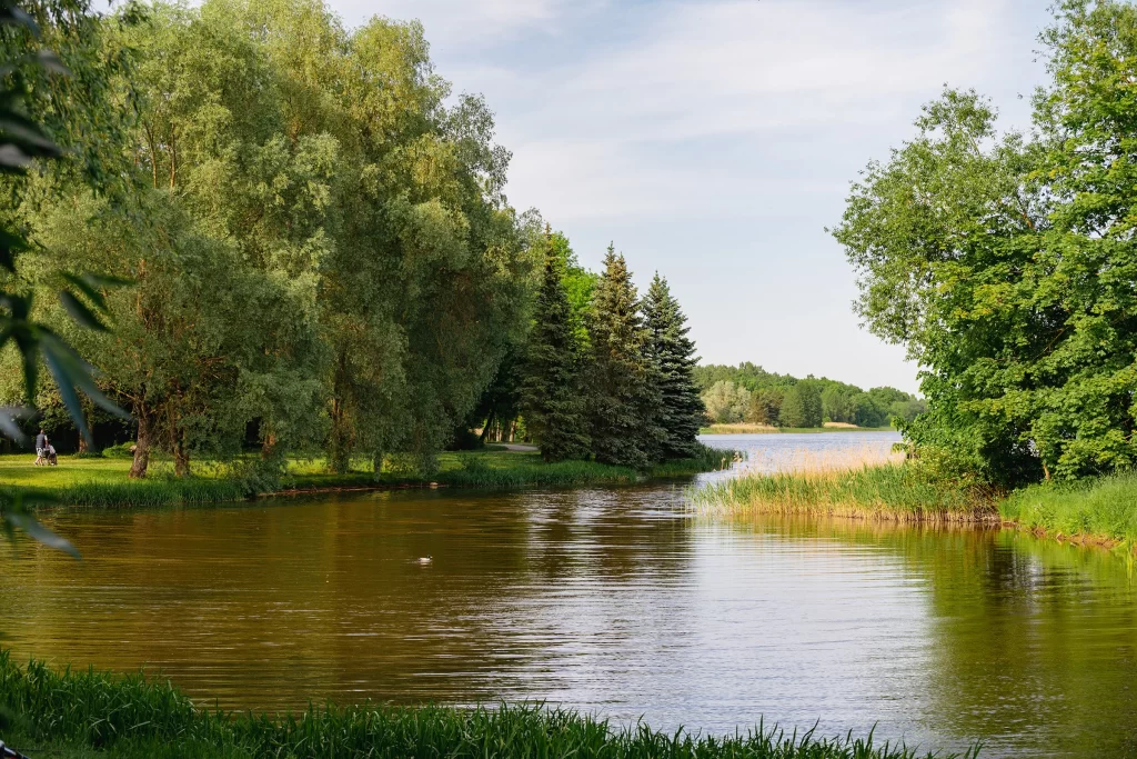 Парковые пруда недалеко от замка, Несвиж, Беларусь