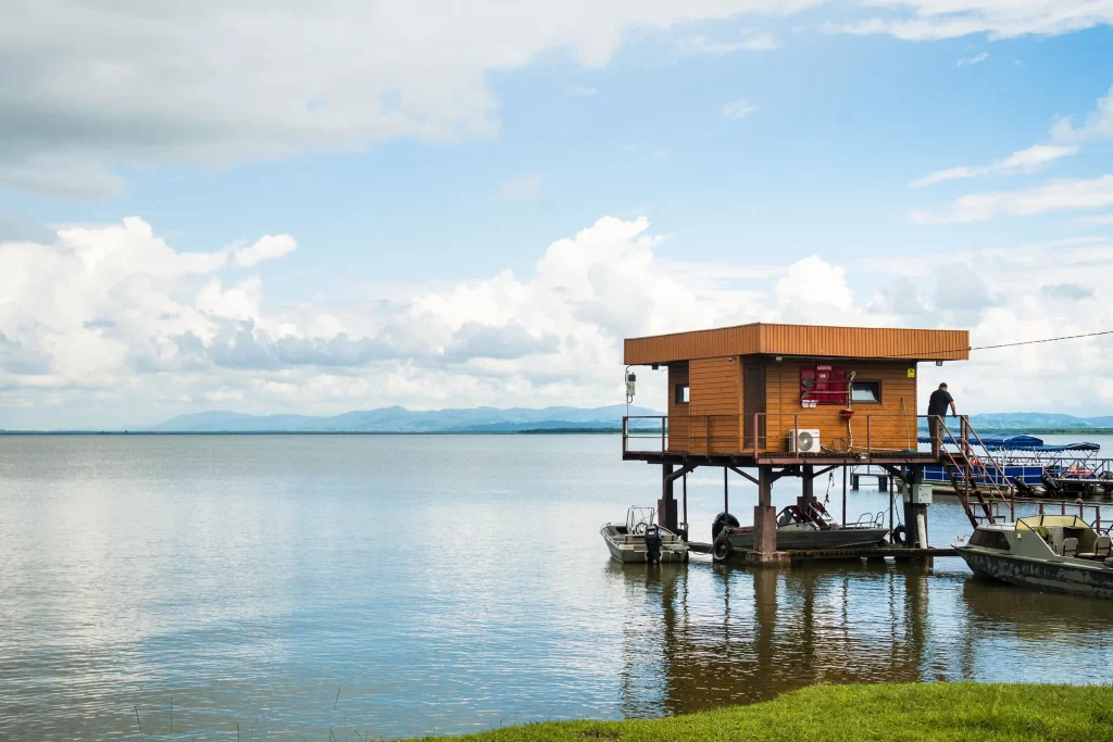 Колхидский национальный парк в Грузии