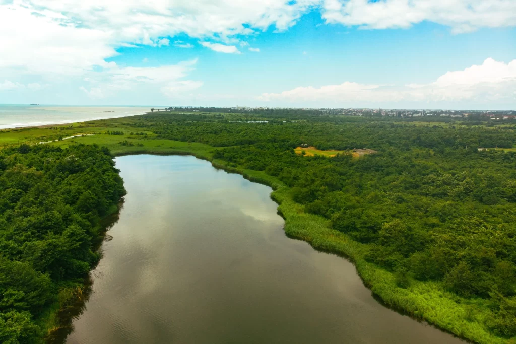 Озеро с высоты птичьего полета в Колхидском национальном парке, Грузия