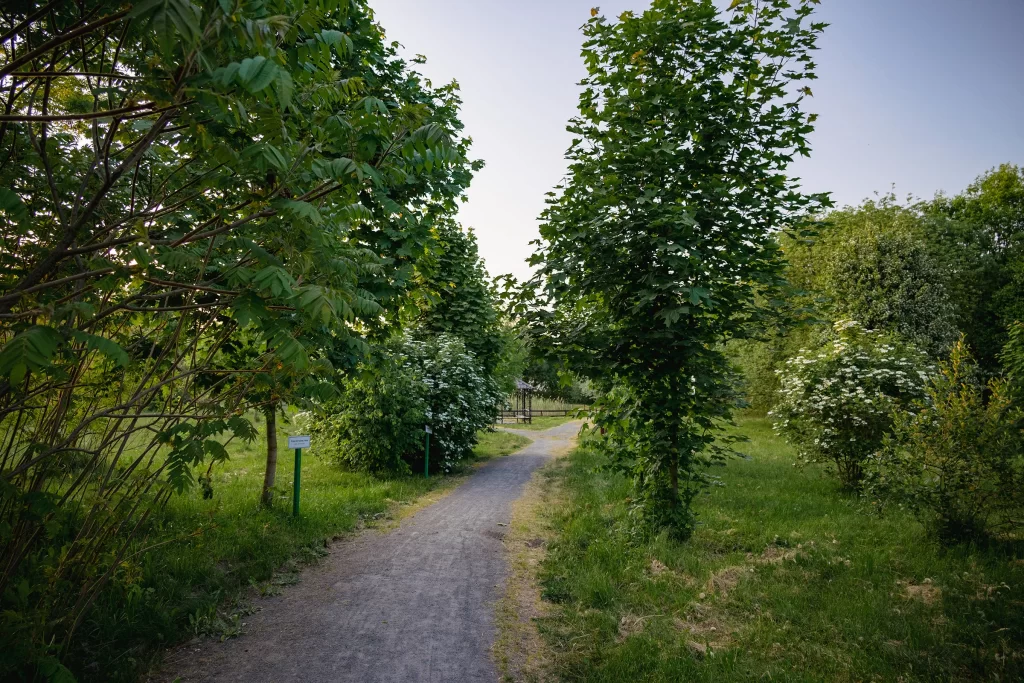Дендропарк в городе Несвиж, Беларусь