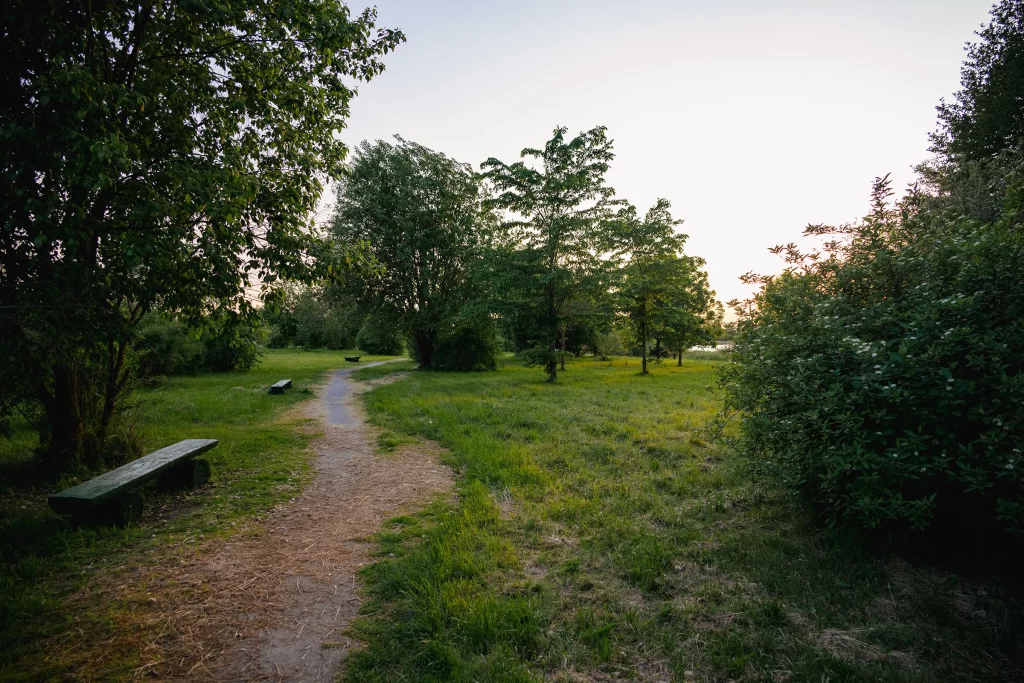 Дендропарк в городе Несвиж, Беларусь