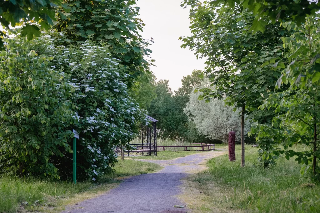 Дендропарк в городе Несвиж, Беларусь