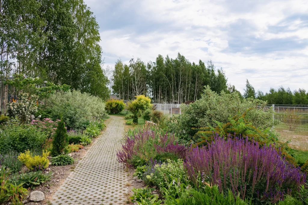 Ландшафтный дизайн в зоопарке "Акварель", Беларусь