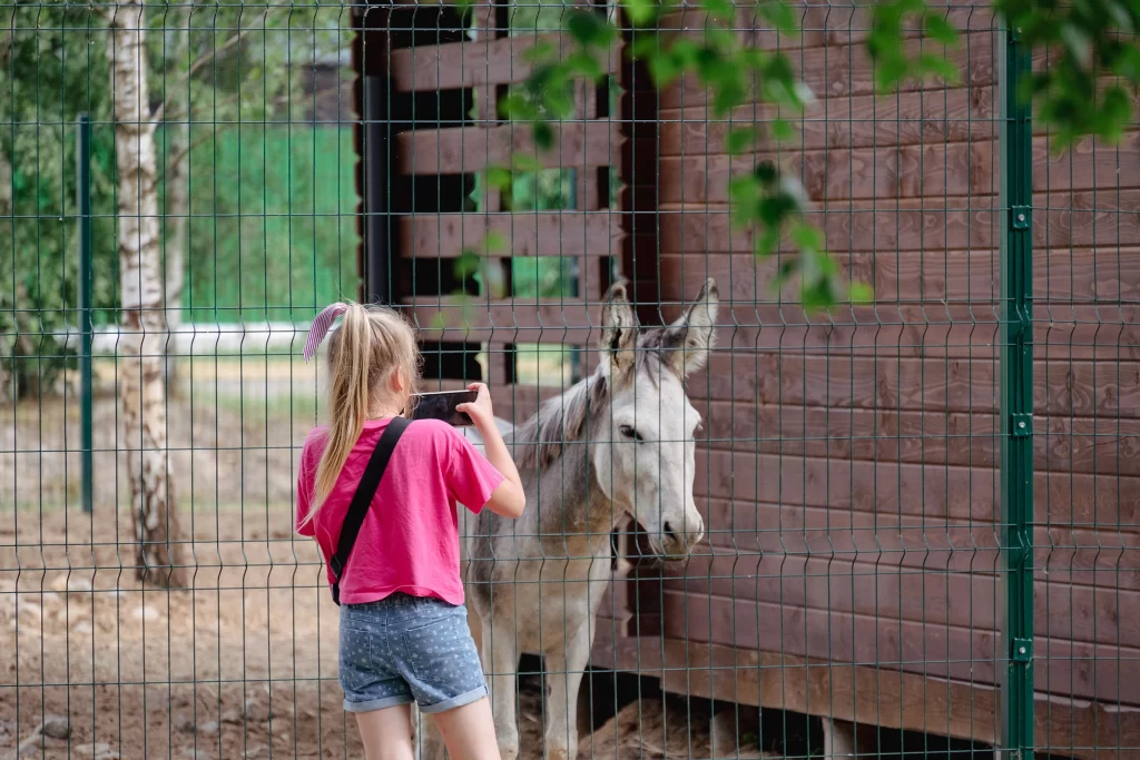 Девочка около вольера с ослом в зоопарке "Акварель", Беларусь