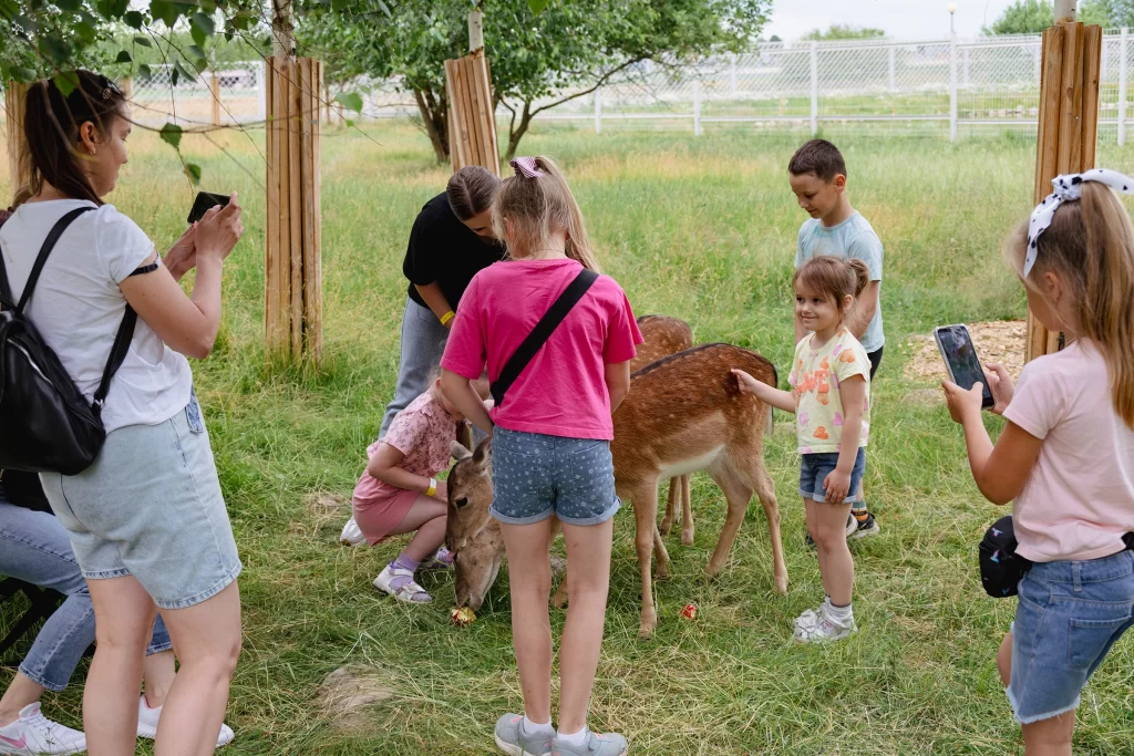 Посетители и лани в зоопарке экопарка "Акварель", Беларусь