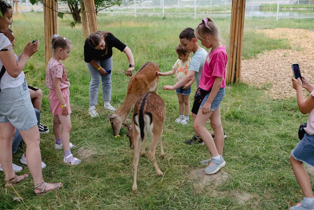 Посетители и лани в зоопарке экопарка "Акварель", Беларусь