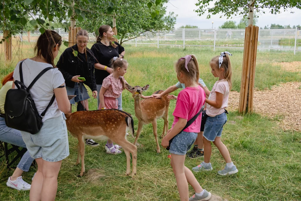Посетители и лани в зоопарке экопарка "Акварель", Беларусь