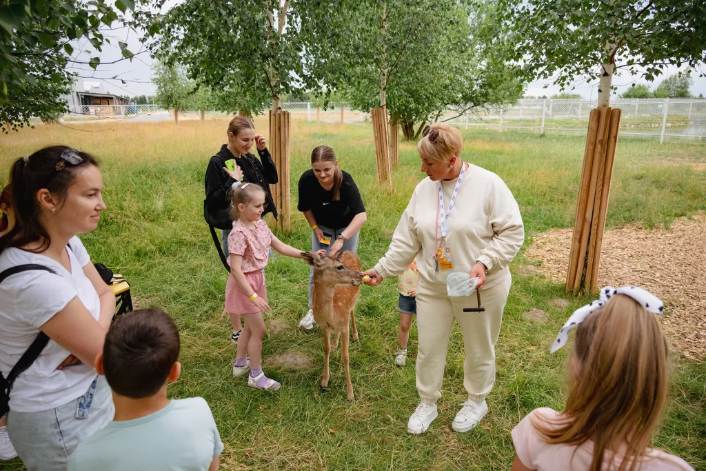 Посетители и лани в зоопарке экопарка "Акварель", Беларусь