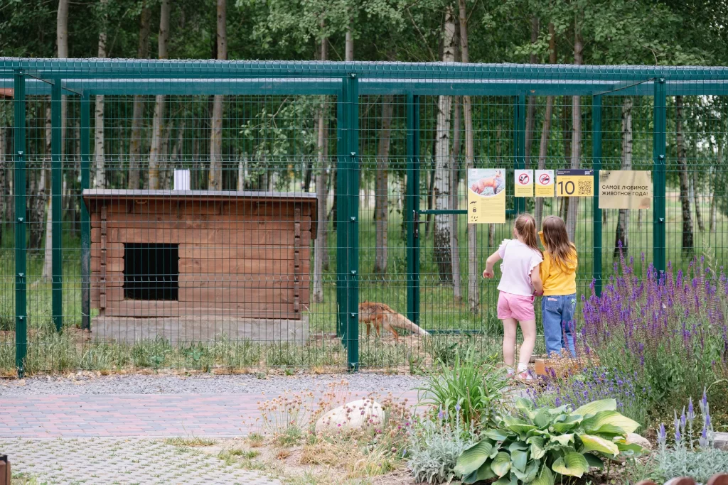 Дети около вольера с лисами в зоопарке "Акварель", Беларусь