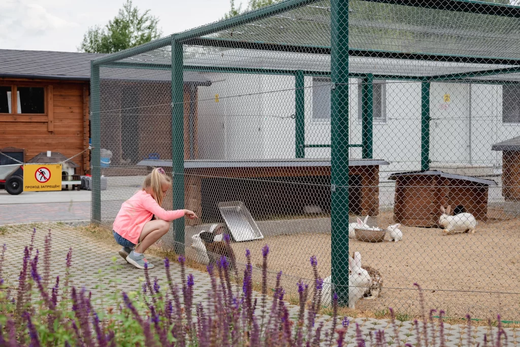 Кролики в зоопарке "Акварель", Беларусь