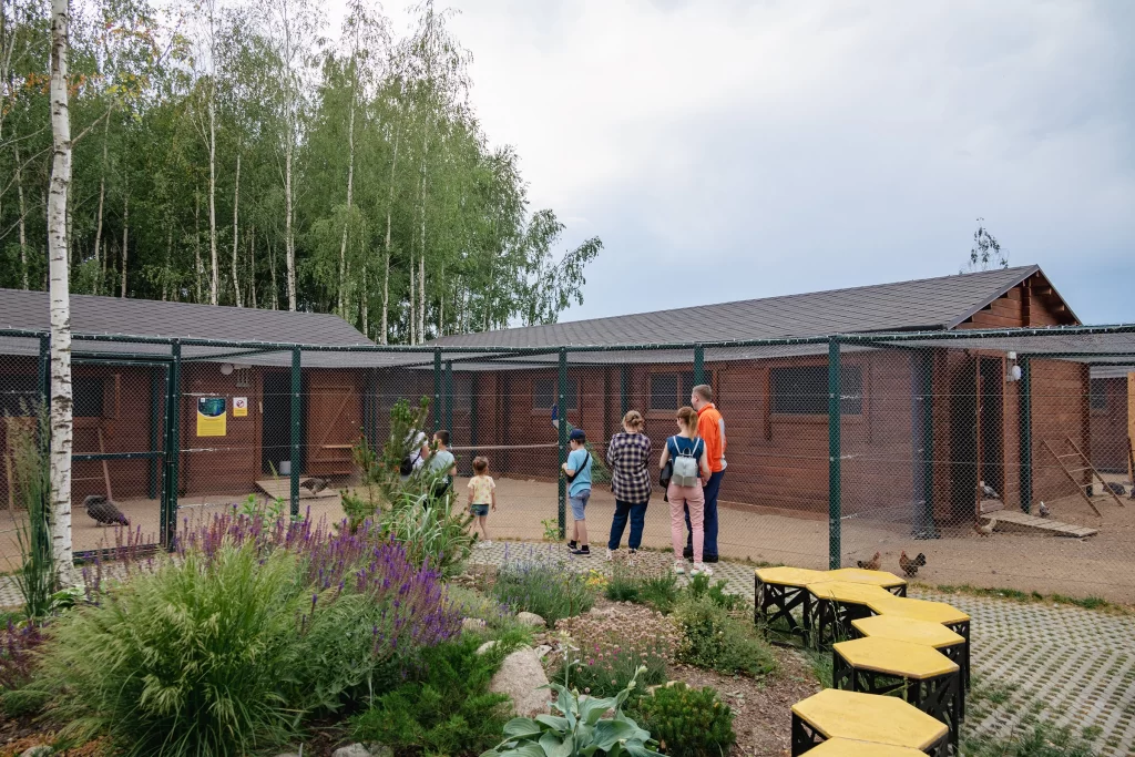 Посетители около клетки с павлином в экопарке "Акварель", Беларусь