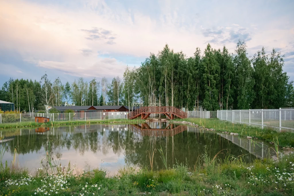 Пруд в зоопарке "Акварель", Беларусь