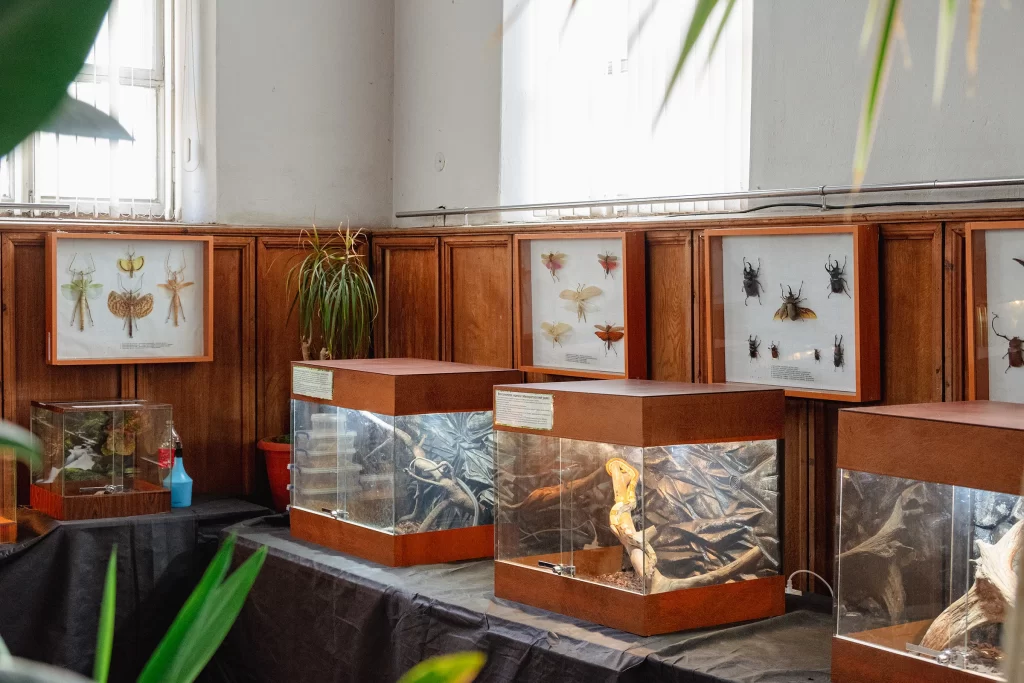 Внутри дома природы в Троицком предместье в Минске, Беларусь