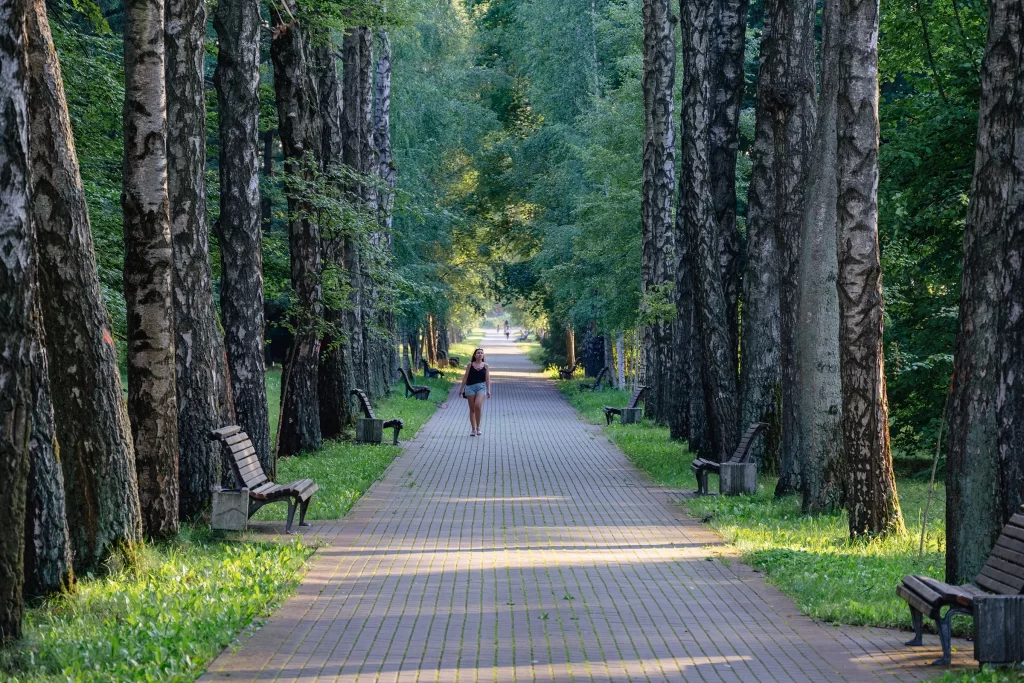 Красивая девушка идет по березовой аллее Ботанического сада, Минск, Беларусь