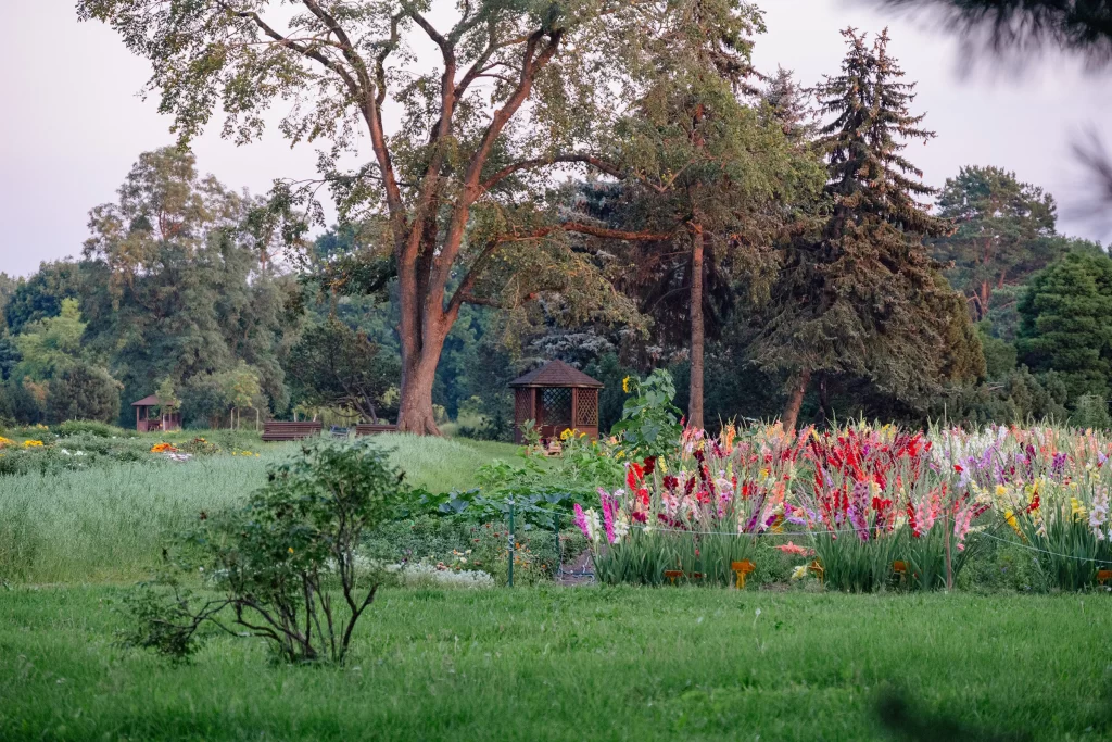 Ботанический сад в Минске, Беларусь