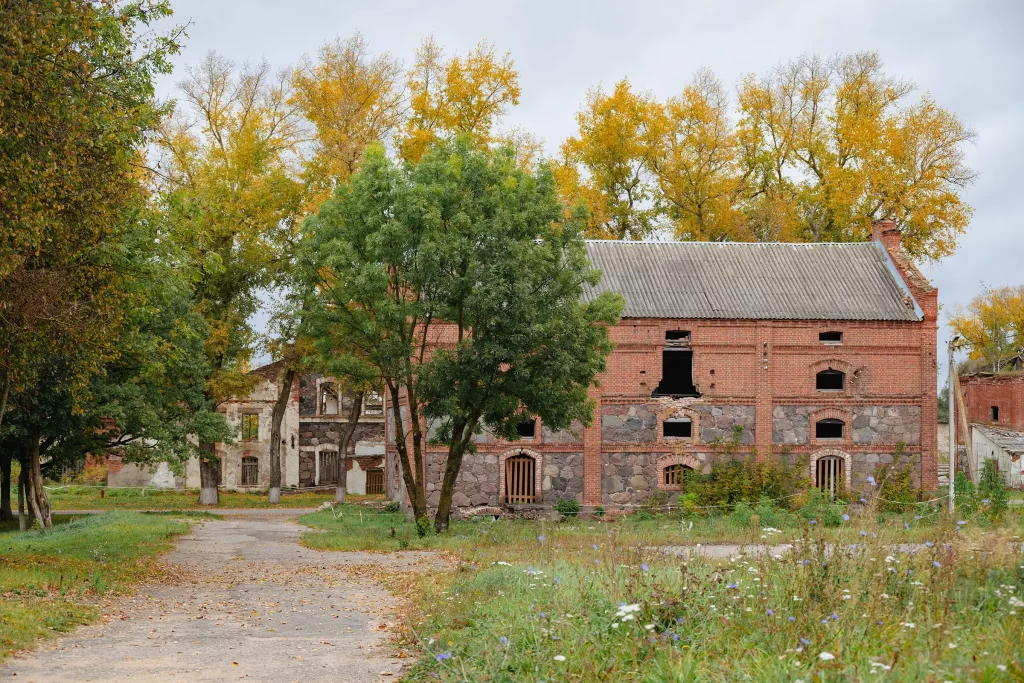 Руины хозяйственных построек в деревне Пламя (Белица), Беларусь