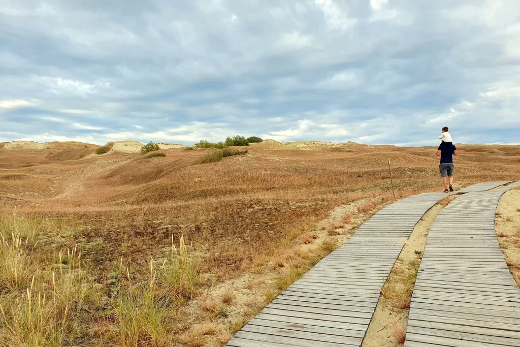 Песчаные дюны на Куршской косе в Литве