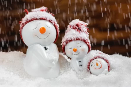 Ярмарка «Зимний сад» в Ботаническом саду, Минск, Беларусь