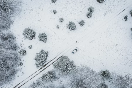 Выходные 2 – 4 февраля
