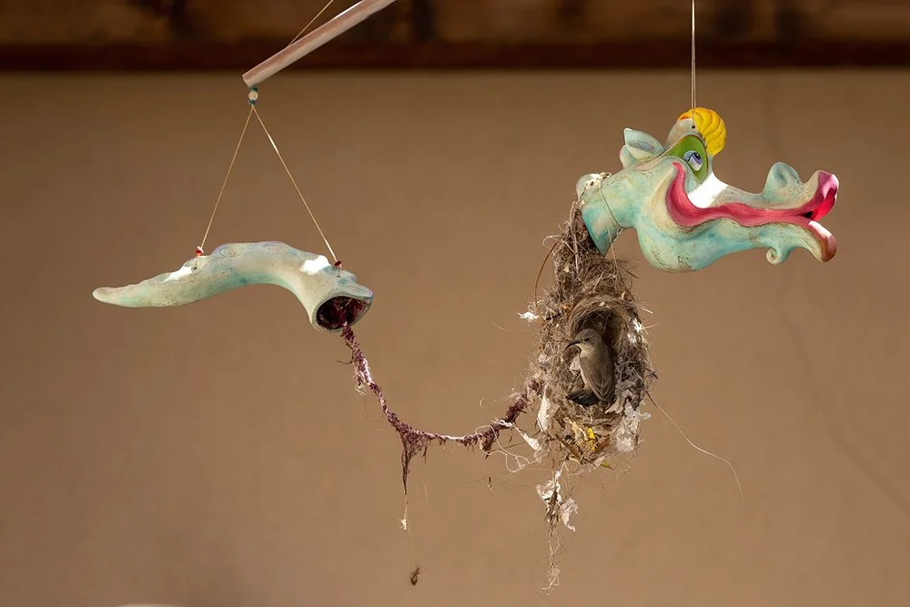 Лучшая фотография в категории "Городская дикая природа" премии World Nature Photography Awards 2024