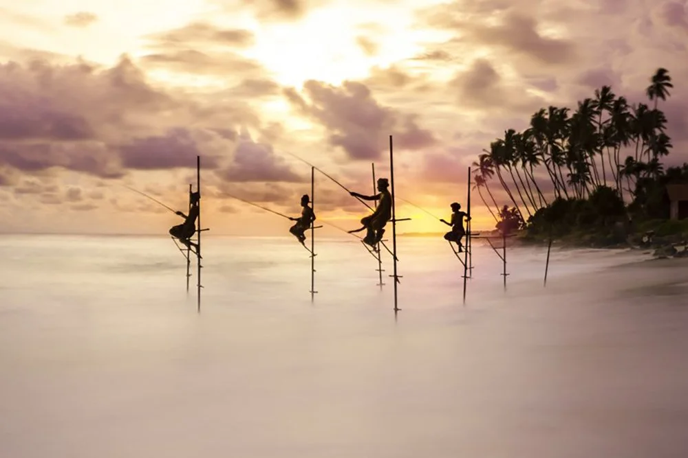 Лучшая фотография в категории "Люди и природа" премии World Nature Photography Awards 2024