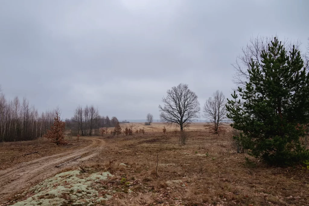 Тонеж, Гомельская область, Беларусь
