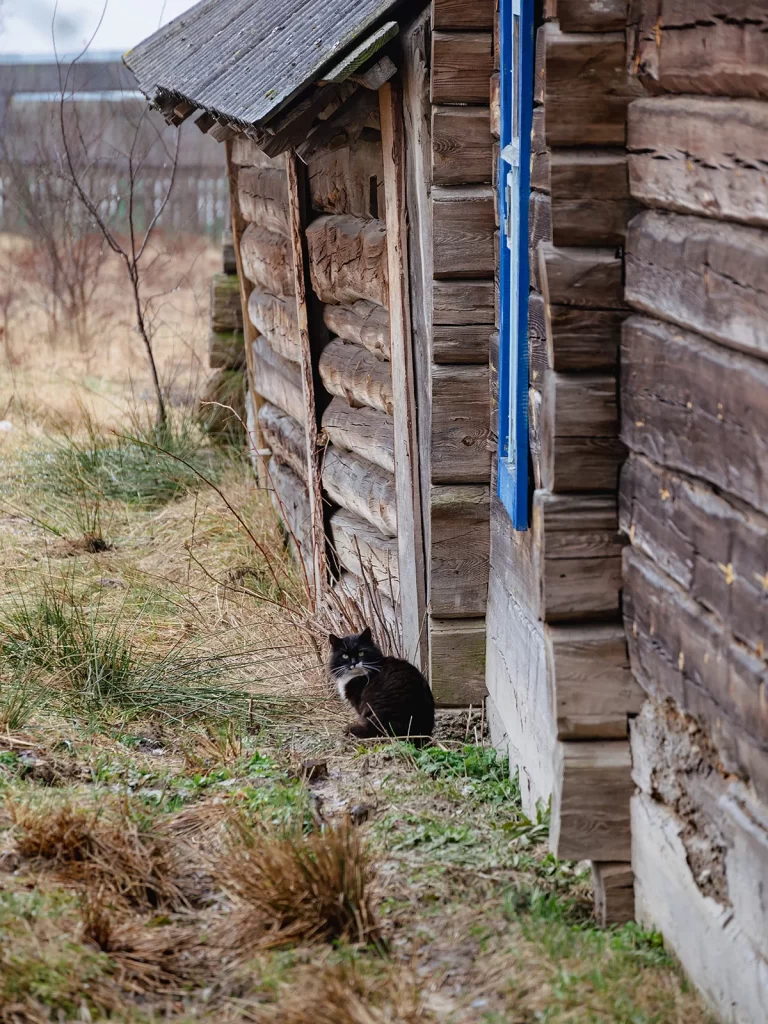 Тонеж, Гомельская область, Беларусь