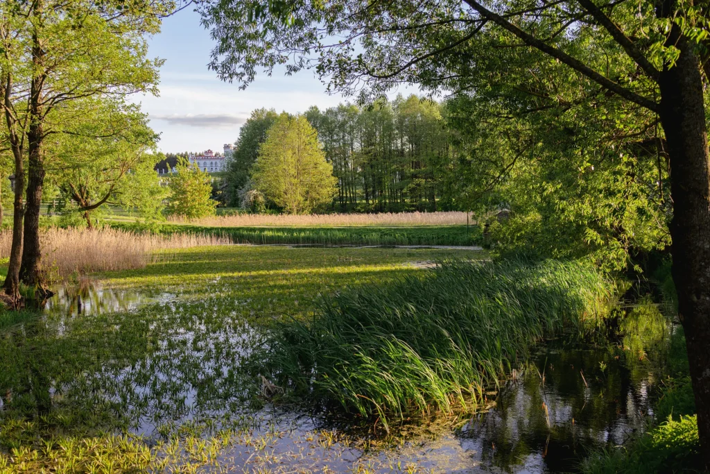 Вид на пруд и дворец Пусловских в Коссово, Беларусь