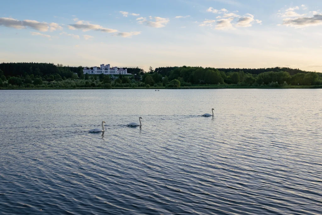 Вид на пруд с лебедями и дворец Пусловских в Коссово, Беларусь