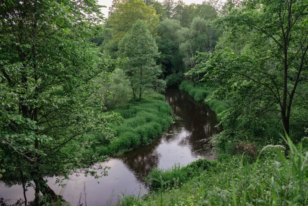 Природа вокруг костела Божьего Тела в Богушевичах, Беларусь