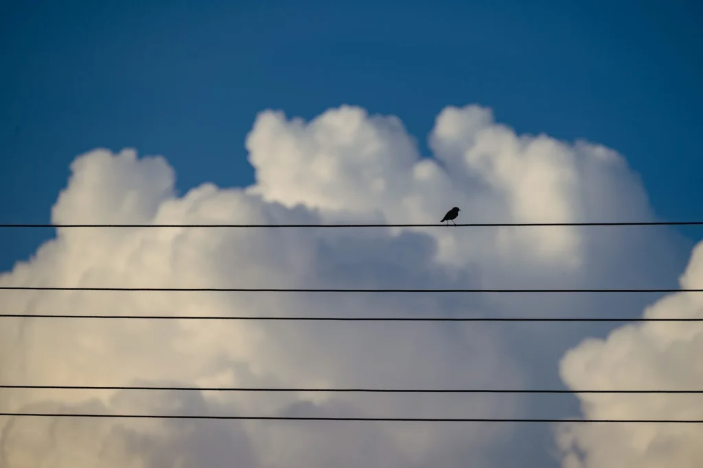 Природа вокруг костела Божьего Тела в Богушевичах, Беларусь