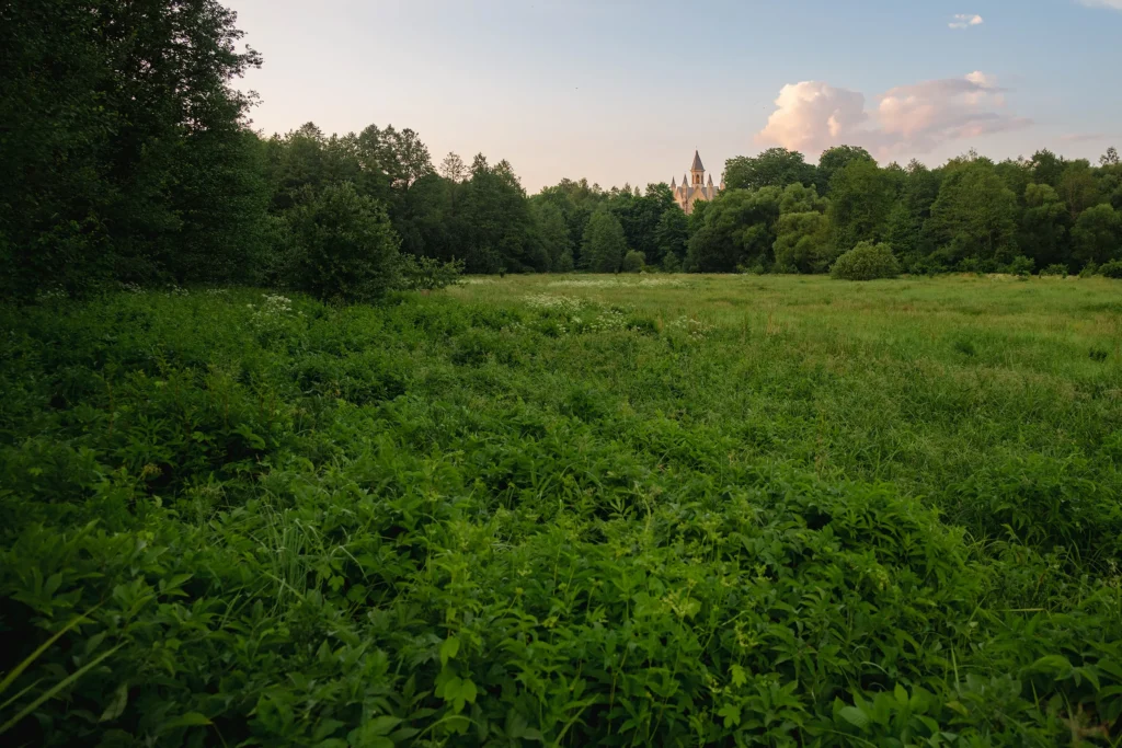 Вид на костел Божьего Тела с противоположного берега реки Усы, Богушевичи, Беларусь