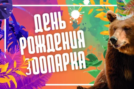 Афиша "40 лет зоопарку"