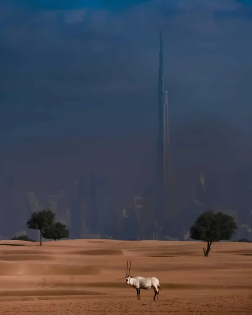 Финалист фотоконкурса Siena Creative Photo Awards 2024