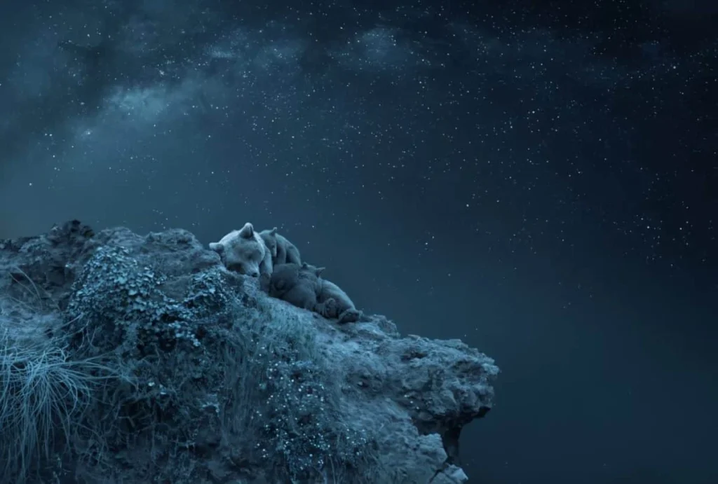 Финалист фотоконкурса Siena Creative Photo Awards 2024