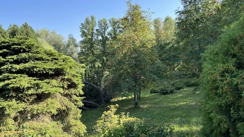 Глубокое: небольшой город с большой историей