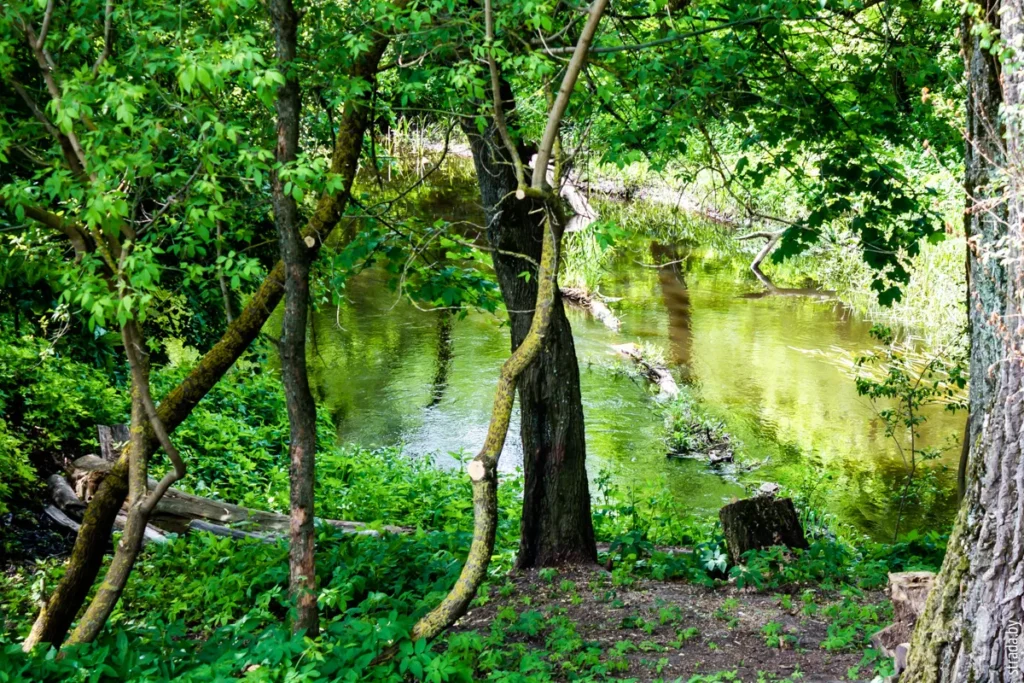Усадьба Бонч-Осмоловских в Блони: что это и почему стоит посетить