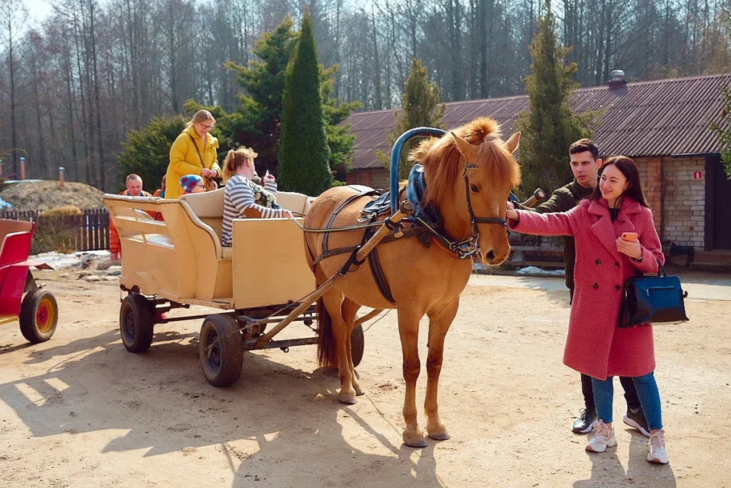 Выходные в Беларуси: чем заняться 1–2 ноября